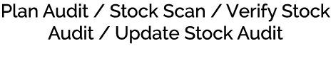 Plan Audit / Stock Scan / Verify Stock Audit / Update Stock Audit 